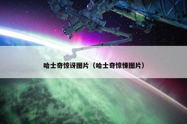 哈士奇惊讶图片(哈士奇惊悚图片) 哈士奇惊讶图片(哈士奇惊悚图片)