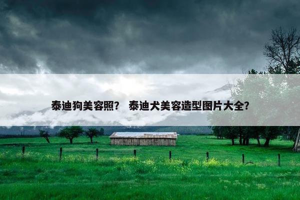 泰迪狗美容照? 泰迪犬美容造型图片大全? 泰迪狗美容照? 泰迪犬美容造型图片大全?