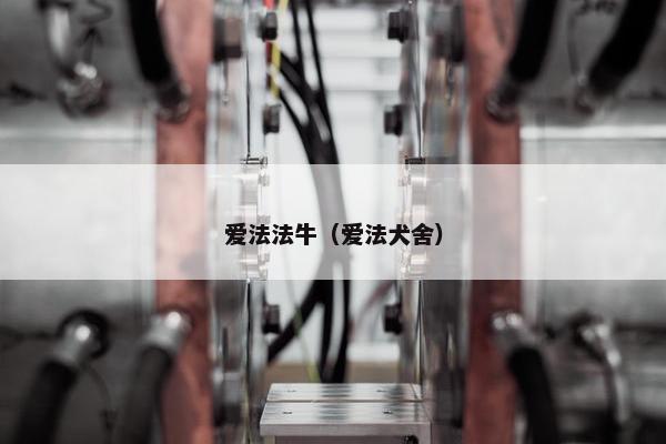爱法法牛(爱法犬舍) 爱法法牛(爱法犬舍)