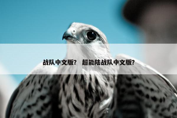 战队中文版? 超能陆战队中文版? 战队中文版? 超能陆战队中文版?