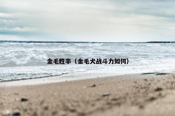 金毛胜率(金毛犬战斗力如何) 金毛胜率(金毛犬战斗力如何)