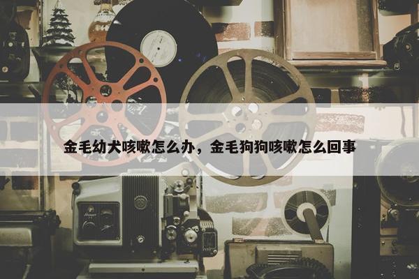 金毛幼犬咳嗽怎么办,金毛狗狗咳嗽怎么回事 金毛幼犬咳嗽怎么办,金毛狗狗咳嗽怎么回事