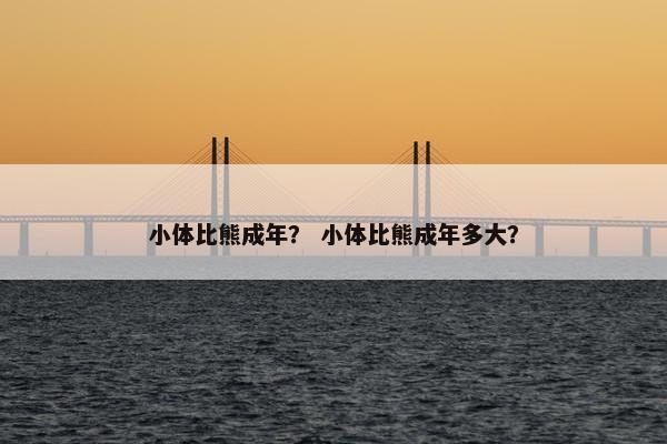 小体比熊成年? 小体比熊成年多大? 小体比熊成年? 小体比熊成年多大?