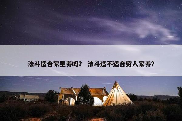 法斗适合家里养吗? 法斗适不适合穷人家养? 法斗适合家里养吗? 法斗适不适合穷人家养?