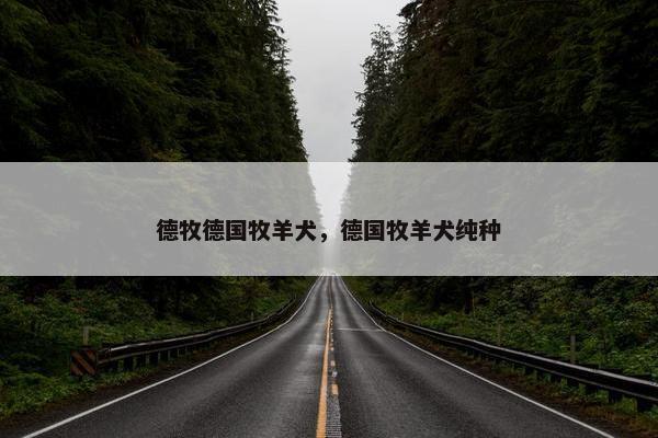 德牧德国牧羊犬,德国牧羊犬纯种 德牧德国牧羊犬,德国牧羊犬纯种