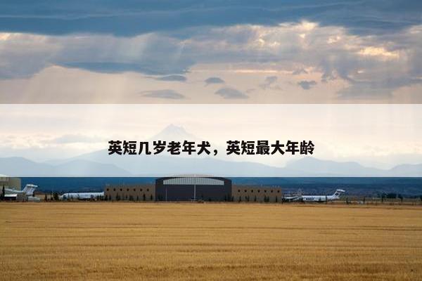英短几岁老年犬,英短最大年龄 英短几岁老年犬,英短最大年龄