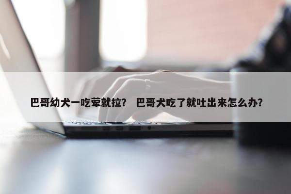 巴哥幼犬一吃荤就拉? 巴哥犬吃了就吐出来怎么办? 巴哥幼犬一吃荤就拉? 巴哥犬吃了就吐出来怎么办?