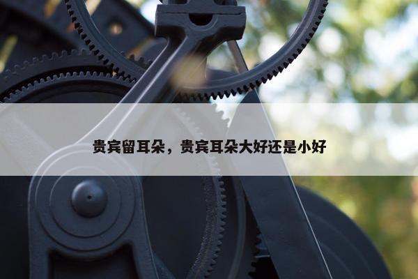 贵宾留耳朵,贵宾耳朵大好还是小好 贵宾留耳朵,贵宾耳朵大好还是小好