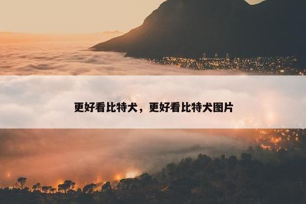 更好看比特犬,更好看比特犬图片 更好看比特犬,更好看比特犬图片