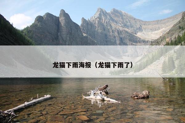 龙猫下雨海报(龙猫下雨了) 龙猫下雨海报(龙猫下雨了)