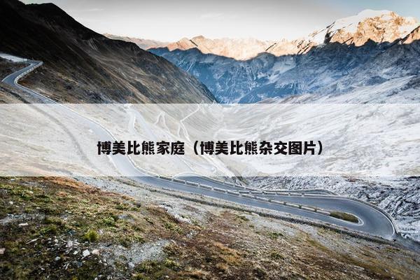 博美比熊家庭(博美比熊杂交图片) 博美比熊家庭(博美比熊杂交图片)