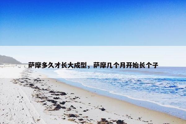 萨摩多久才长大成型，萨摩几个月开始长个子