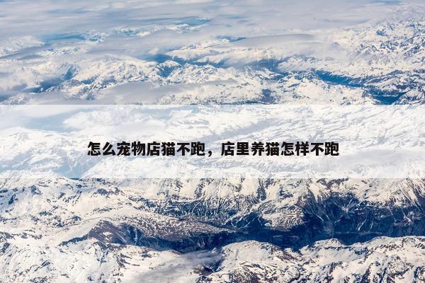 怎么宠物店猫不跑,店里养猫怎样不跑 怎么宠物店猫不跑,店里养猫怎样不跑