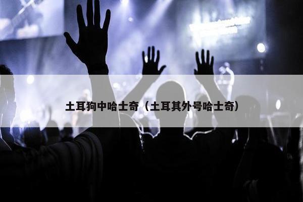 土耳狗中哈士奇(土耳其外号哈士奇) 土耳狗中哈士奇(土耳其外号哈士奇)