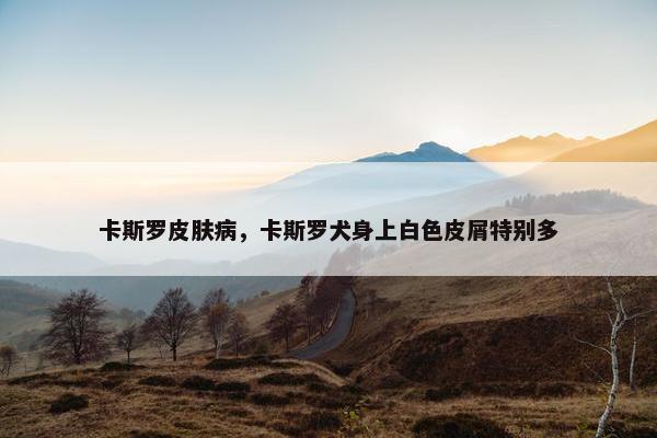 卡斯罗皮肤病,卡斯罗犬身上白色皮屑特别多 卡斯罗皮肤病,卡斯罗犬身上白色皮屑特别多