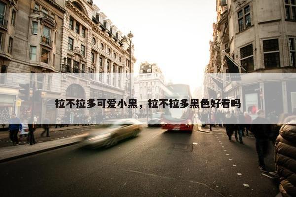 拉不拉多可爱小黑,拉不拉多黑色好看吗 拉不拉多可爱小黑,拉不拉多黑色好看吗