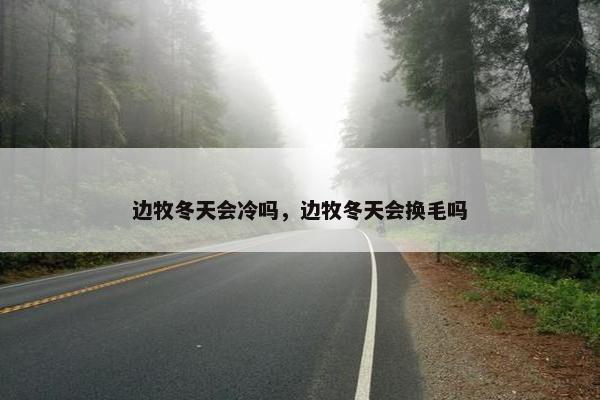 边牧冬天会冷吗,边牧冬天会换毛吗 边牧冬天会冷吗,边牧冬天会换毛吗