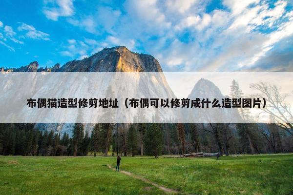 布偶猫造型修剪地址(布偶可以修剪成什么造型图片) 布偶猫造型修剪地址(布偶可以修剪成什么造型图片)