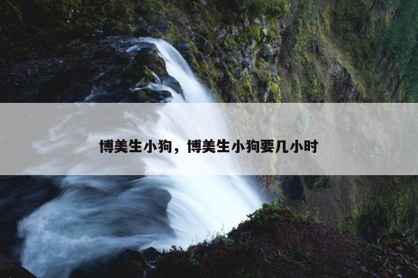 博美生小狗,博美生小狗要几小时 博美生小狗,博美生小狗要几小时