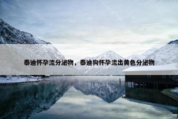 泰迪怀孕流分泌物,泰迪狗怀孕流出黄色分泌物 泰迪怀孕流分泌物,泰迪狗怀孕流出黄色分泌物