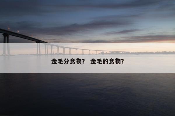 金毛分食物? 金毛的食物? 金毛分食物? 金毛的食物?