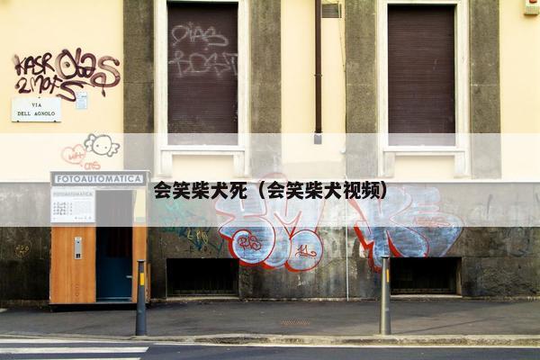会笑柴犬死(会笑柴犬视频) 会笑柴犬死(会笑柴犬视频)