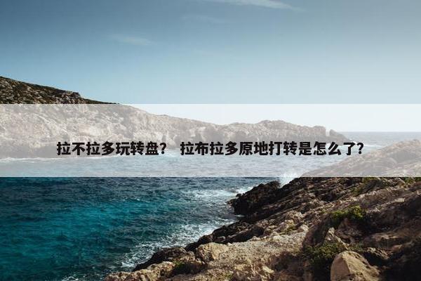 拉不拉多玩转盘? 拉布拉多原地打转是怎么了? 拉不拉多玩转盘? 拉布拉多原地打转是怎么了?