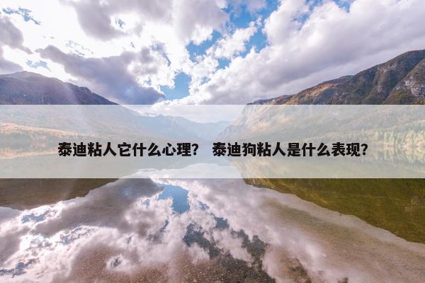 泰迪粘人它什么心理? 泰迪狗粘人是什么表现? 泰迪粘人它什么心理? 泰迪狗粘人是什么表现?
