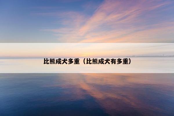 比熊成犬多重(比熊成犬有多重) 比熊成犬多重(比熊成犬有多重)