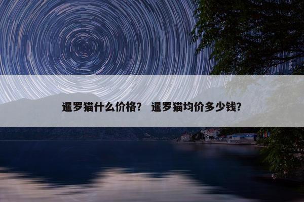 暹罗猫什么价格? 暹罗猫均价多少钱? 暹罗猫什么价格? 暹罗猫均价多少钱?