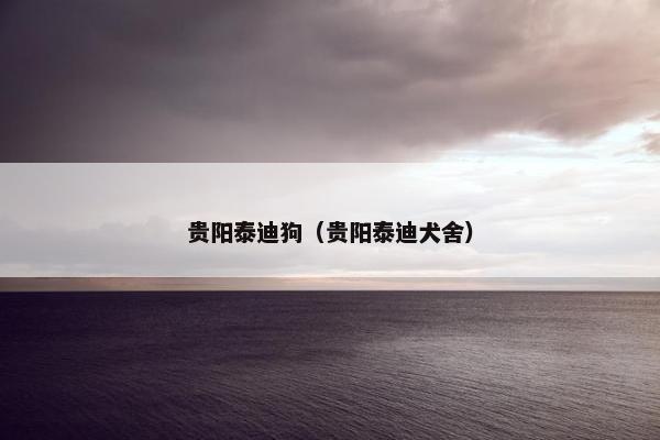 贵阳泰迪狗(贵阳泰迪犬舍) 贵阳泰迪狗(贵阳泰迪犬舍)