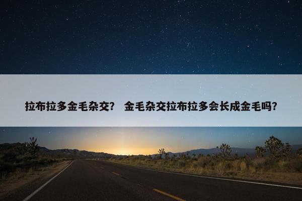 拉布拉多金毛杂交? 金毛杂交拉布拉多会长成金毛吗? 拉布拉多金毛杂交? 金毛杂交拉布拉多会长成金毛吗?