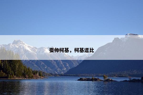 耍帅柯基,柯基逗比 耍帅柯基,柯基逗比