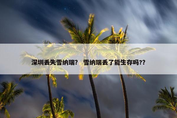 深圳丢失雪纳瑞? 雪纳瑞丢了能生存吗?? 深圳丢失雪纳瑞? 雪纳瑞丢了能生存吗??