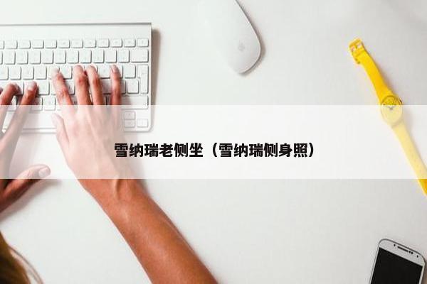 雪纳瑞老侧坐(雪纳瑞侧身照) 雪纳瑞老侧坐(雪纳瑞侧身照)