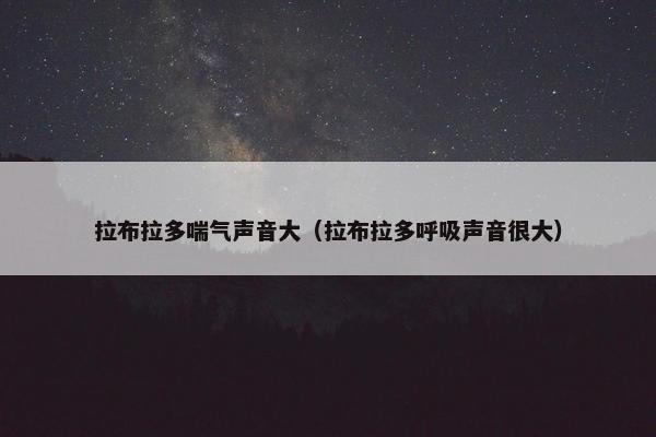 拉布拉多喘气声音大(拉布拉多呼吸声音很大) 拉布拉多喘气声音大(拉布拉多呼吸声音很大)