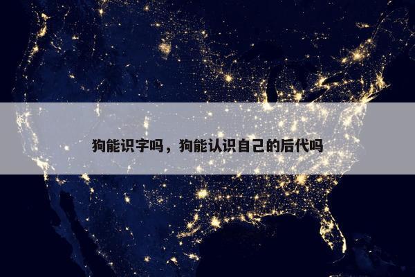 狗能识字吗,狗能认识自己的后代吗 狗能识字吗,狗能认识自己的后代吗
