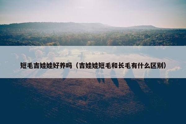短毛吉娃娃好养吗(吉娃娃短毛和长毛有什么区别) 短毛吉娃娃好养吗(吉娃娃短毛和长毛有什么区别)