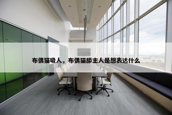 布偶猫吸人,布偶猫舔主人是想表达什么 布偶猫吸人,布偶猫舔主人是想表达什么