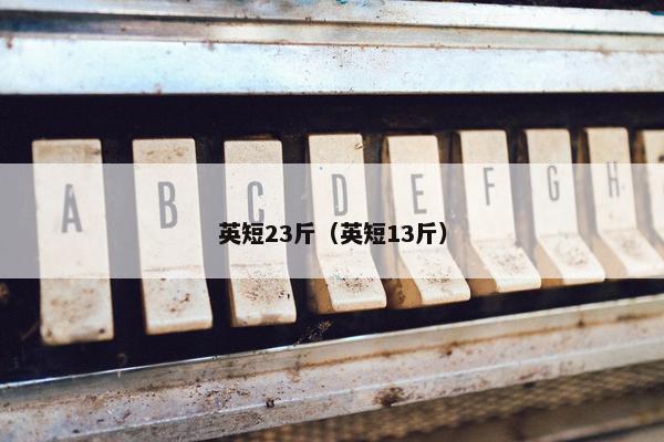 英短23斤(英短13斤) 英短23斤(英短13斤)