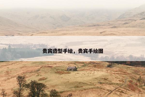 贵宾造型手绘,贵宾手绘图 贵宾造型手绘,贵宾手绘图