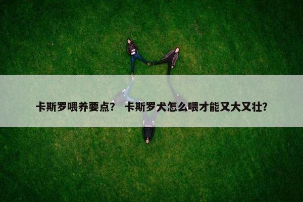 卡斯罗喂养要点? 卡斯罗犬怎么喂才能又大又壮? 卡斯罗喂养要点? 卡斯罗犬怎么喂才能又大又壮?