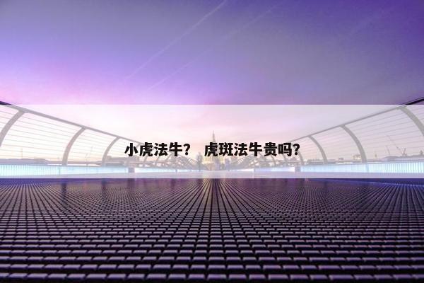 小虎法牛? 虎斑法牛贵吗? 小虎法牛? 虎斑法牛贵吗?