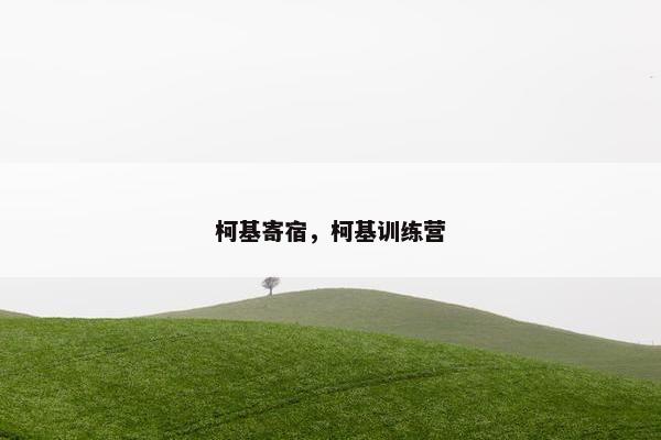 柯基寄宿,柯基训练营 柯基寄宿,柯基训练营