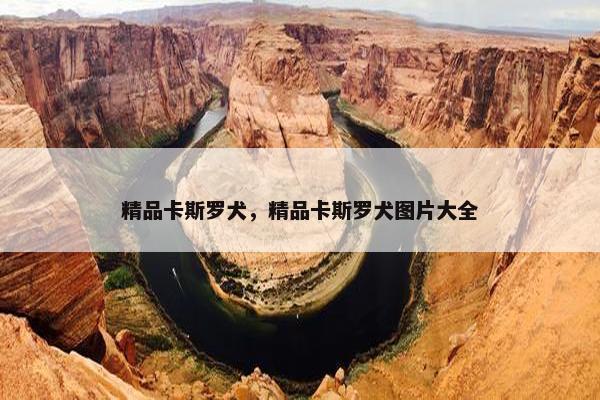 精品卡斯罗犬,精品卡斯罗犬图片大全 精品卡斯罗犬,精品卡斯罗犬图片大全