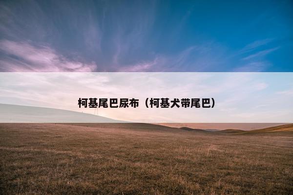 柯基尾巴尿布(柯基犬带尾巴) 柯基尾巴尿布(柯基犬带尾巴)