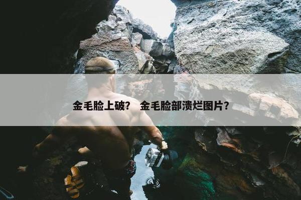 金毛脸上破? 金毛脸部溃烂图片? 金毛脸上破? 金毛脸部溃烂图片?