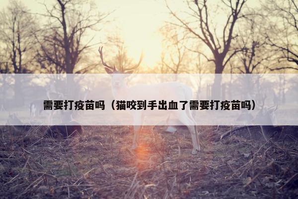 需要打疫苗吗(猫咬到手出血了需要打疫苗吗) 需要打疫苗吗(猫咬到手出血了需要打疫苗吗)