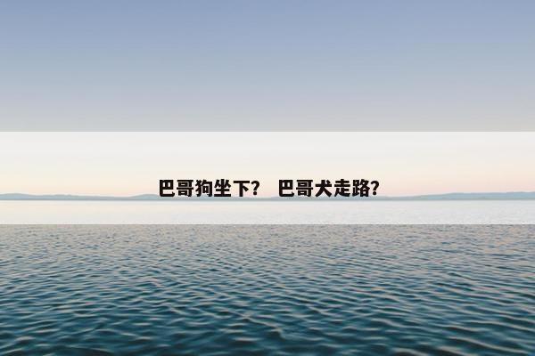 巴哥狗坐下? 巴哥犬走路? 巴哥狗坐下? 巴哥犬走路?