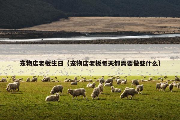 宠物店老板生日(宠物店老板每天都需要做些什么) 宠物店老板生日(宠物店老板每天都需要做些什么)